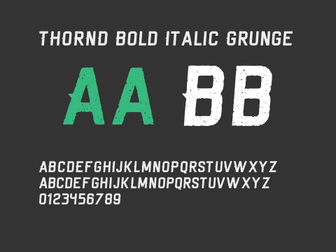 THORND Bold Italic Grunge