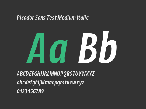 Picador Sans Test Medium Italic