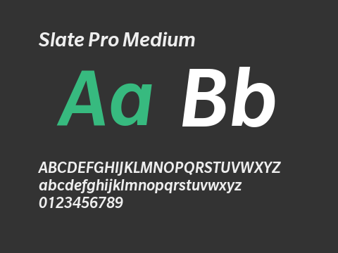 Slate Pro Medium