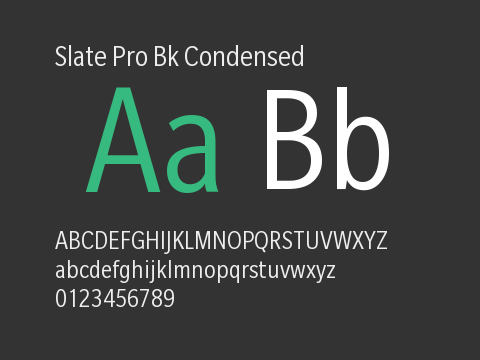 Slate Pro Bk Condensed