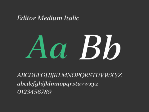 Editor Medium Italic