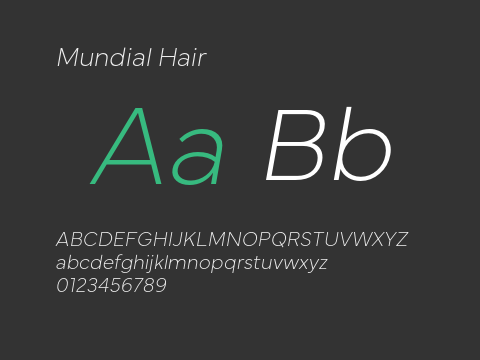 Mundial Hair