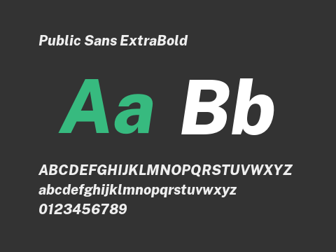 Public Sans ExtraBold