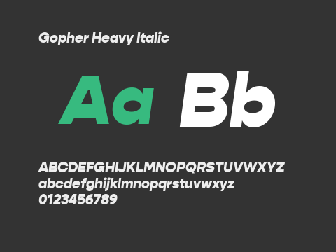 Gopher Heavy Italic