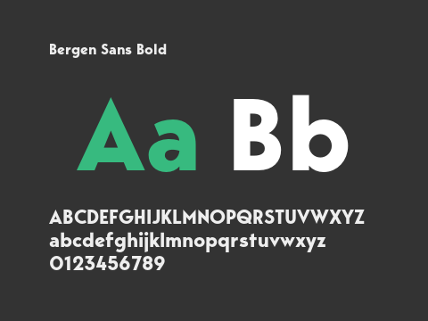 Bergen Sans Bold