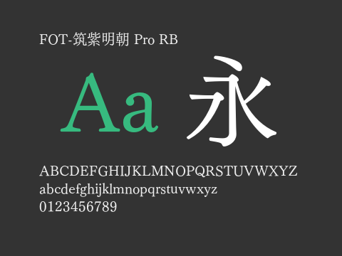 FOT-筑紫明朝 Pro RB