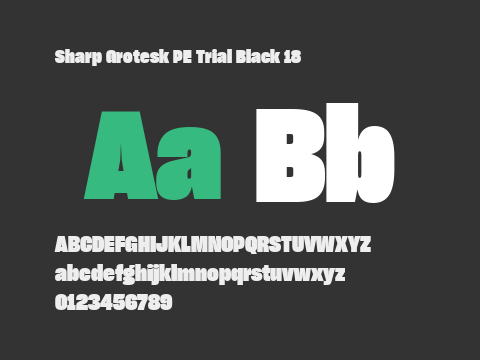 Sharp Grotesk PE Trial Black 18