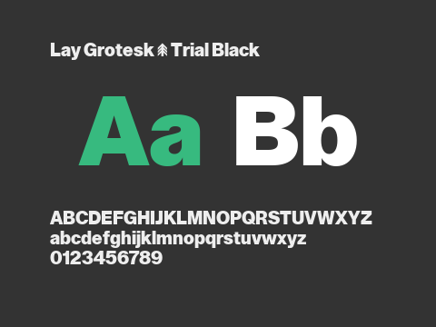 Lay Grotesk - Trial Black