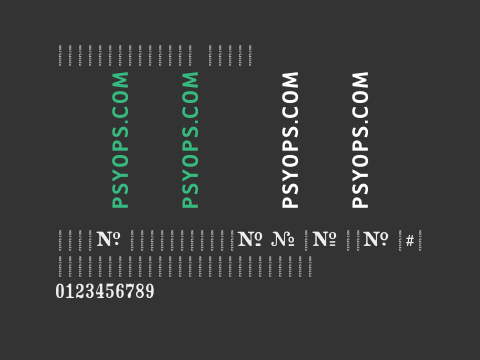 CrashNumbering Serif