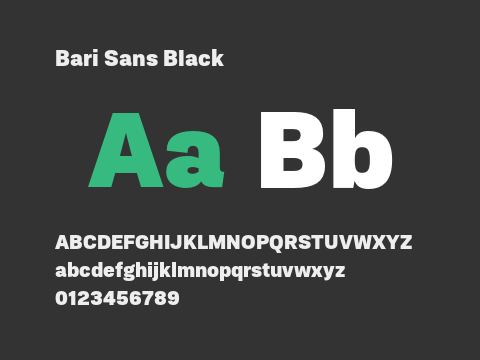 Bari Sans Black