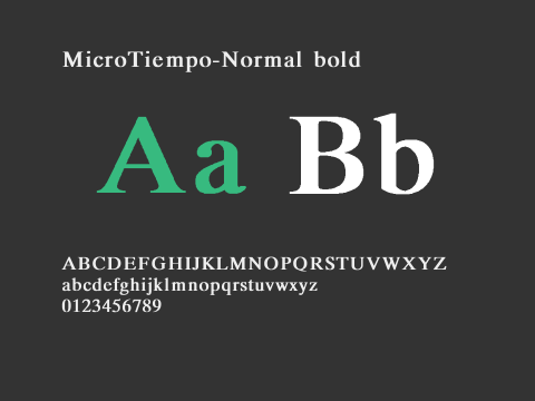 MicroTiempo-Normal bold