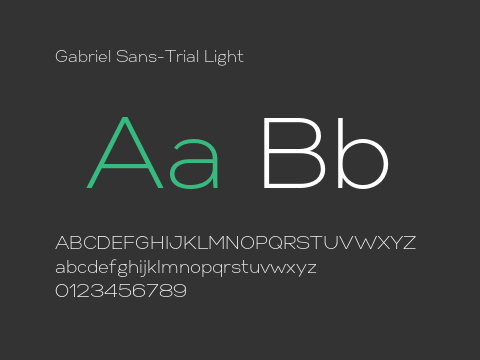 Gabriel Sans-Trial Light