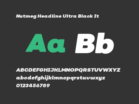 Nutmeg Headline Ultra Black It