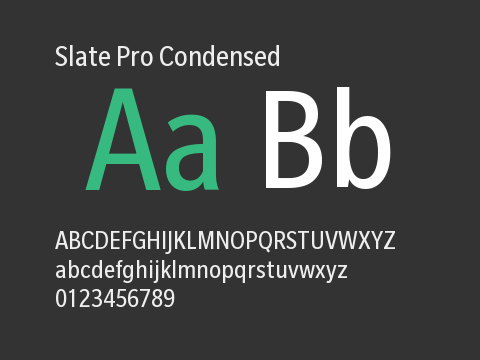 Slate Pro Condensed