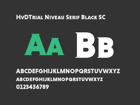 HvDTrial Niveau Serif Black SC