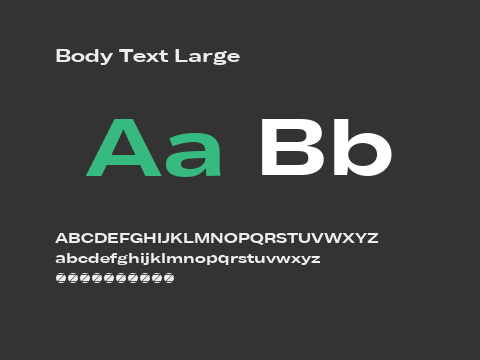 Body Text Large