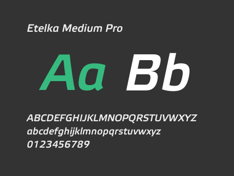 Etelka Medium Pro