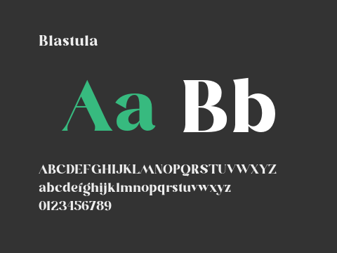 Blastula