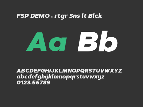 FSP DEMO - rtgr Sns lt Blck