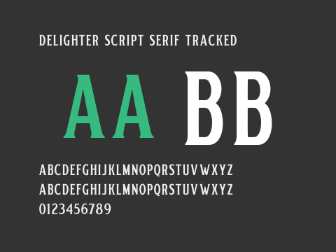 Delighter Script Serif Tracked