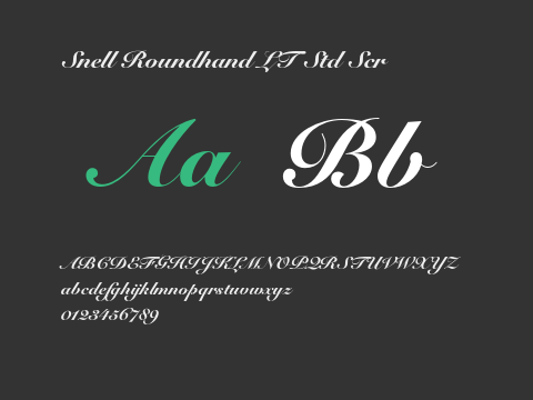 Snell Roundhand LT Std Scr