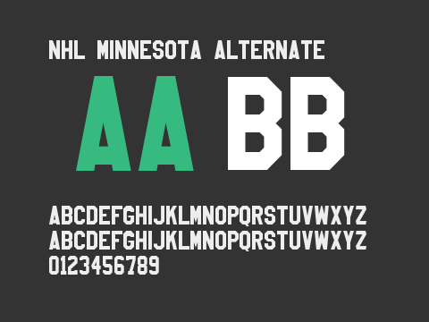 NHL Minnesota Alternate