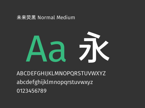 未来荧黑 Normal Medium