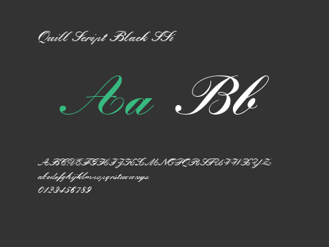 Quill Script Black SSi