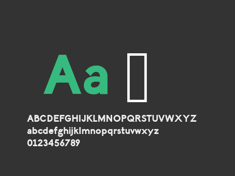 LilGrotesk Bold