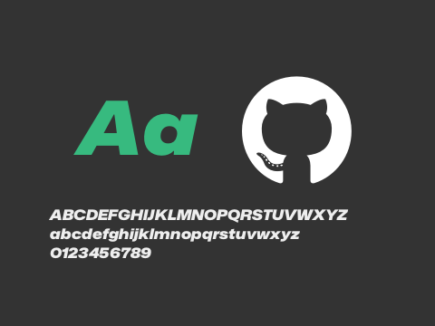 Mona-Sans Black Wide Italic