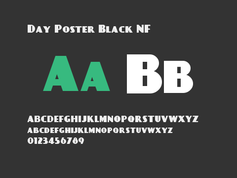 Day Poster Black NF