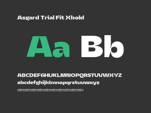 Asgard Trial Fit Xbold