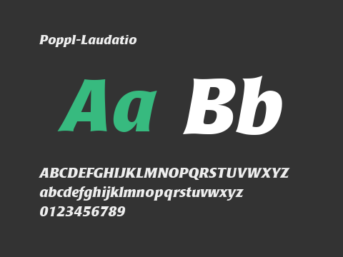 Poppl-Laudatio