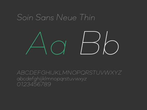 Soin Sans Neue Thin