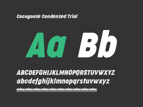 Cocogoose Condensed Trial