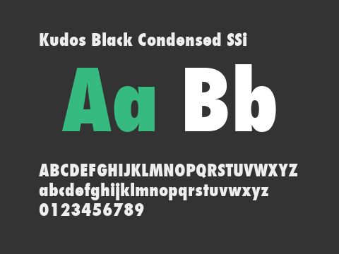 Kudos Black Condensed SSi