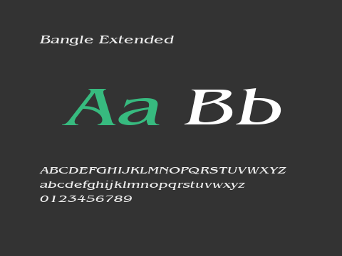 Bangle Extended