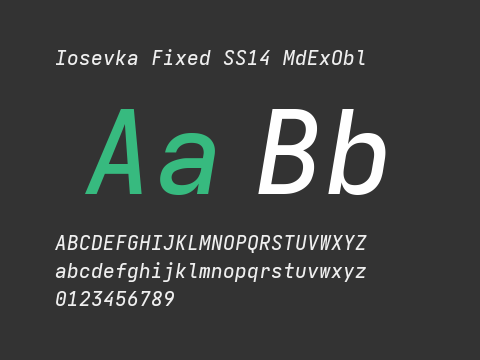 Iosevka Fixed SS14 MdExObl