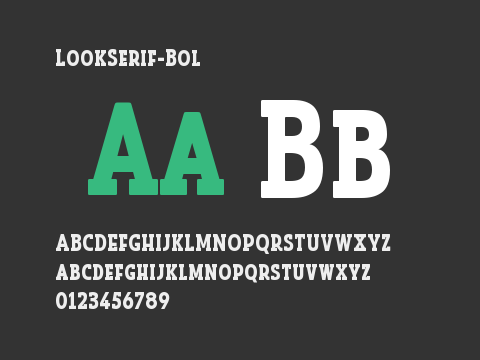 LookSerif-Bol