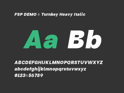 FSP DEMO - Turnkey Heavy Italic