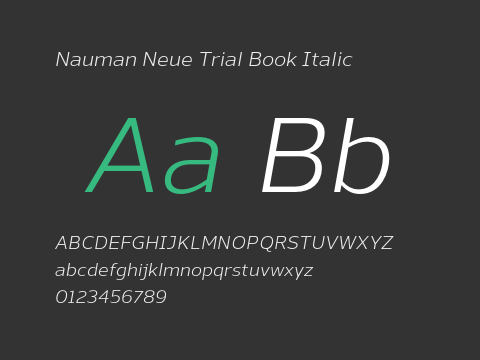 Nauman Neue Trial Book Italic