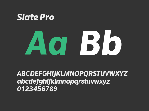 Slate Pro