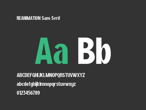 REANIMATION Sans Serif