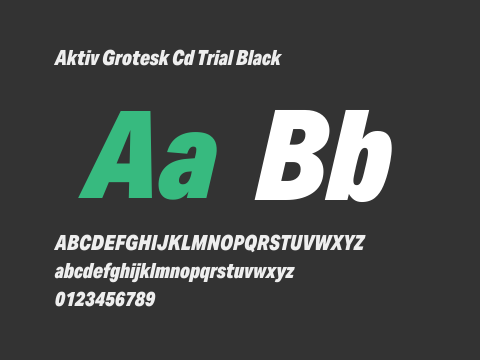 Aktiv Grotesk Cd Trial Black