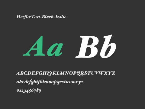 HoeflerText-Black-Italic