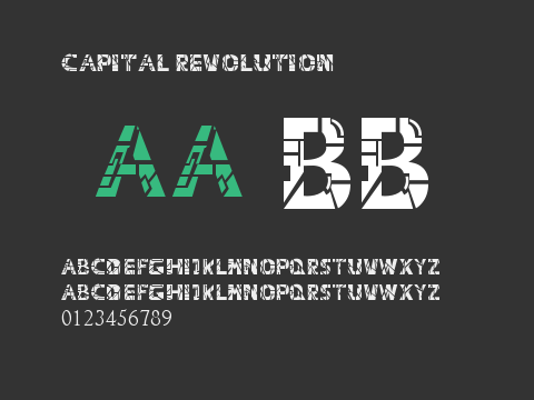 Capital Revolution