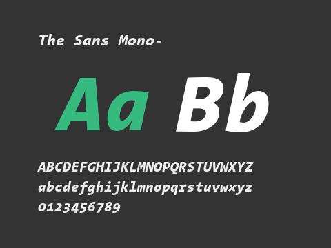 The Sans Mono-