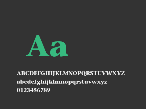 StoneSerif LT Bold