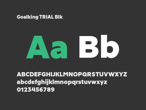 Goalking TRIAL Blk