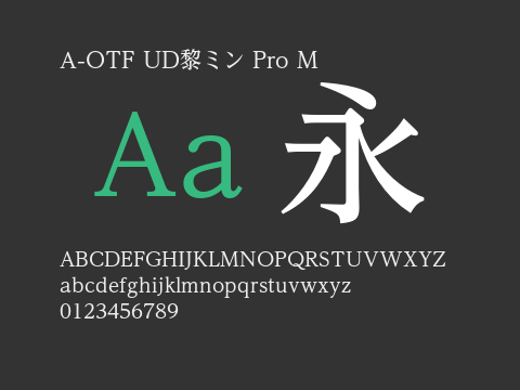 A-OTF UD黎ミン Pro M